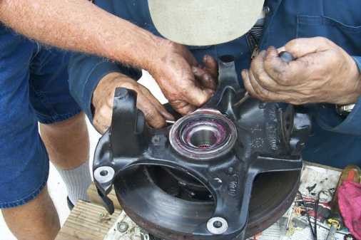 P0000754.jpg (506x337; 22426 bytes)